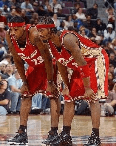 自然写作中 自然写作中